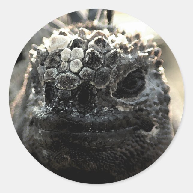Autocollant de tir à la tête d'Iguana Marine (Devant)