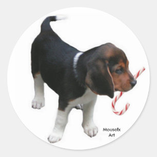Autocollant de vacances beagle