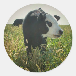 Autocollant de vache en pâturage