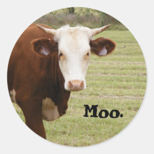 Autocollant de vache : "Moo."