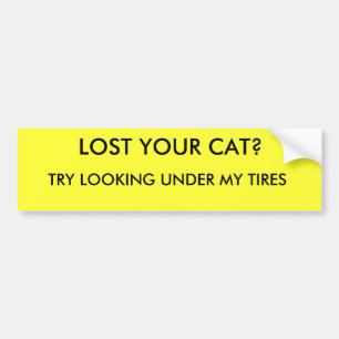 AUTOCOLLANT DE VOITURE A PERDU VOTRE CAT ? , ESSAI REGARDANT SOUS MES
