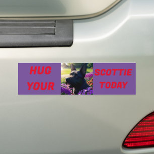 Autocollant De Voiture Accrochez-vous aujourd'hui à votre Scottie