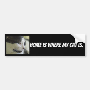 Autocollant De Voiture Accueil Où Mon Chat Est Photo