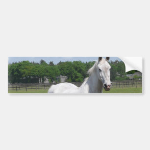 Autocollant De Voiture Adhésif pour pare-chocs arabe de cheval