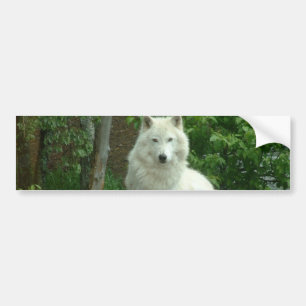 Autocollant De Voiture Adhésif pour pare-chocs arctique de loup