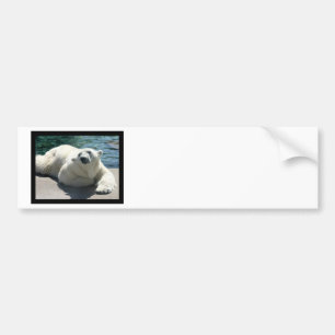 Autocollant De Voiture Adhésif pour pare-chocs arctique d'ours blanc