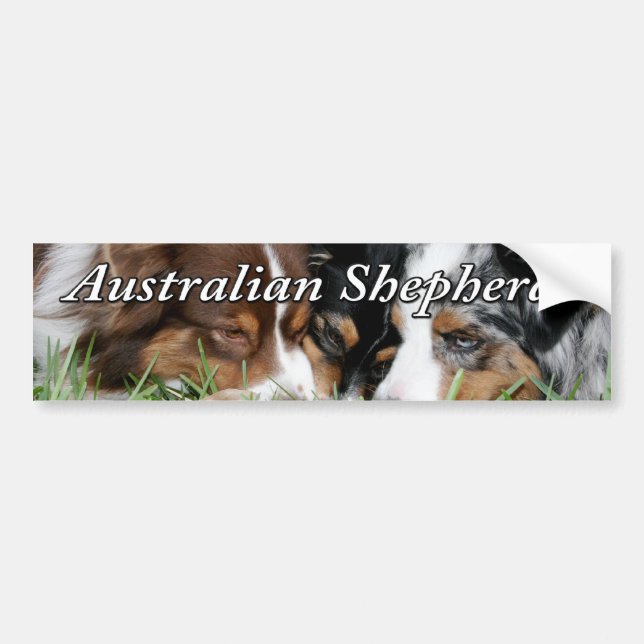 Autocollant De Voiture Adhésif pour pare-chocs australien de berger (Devant)