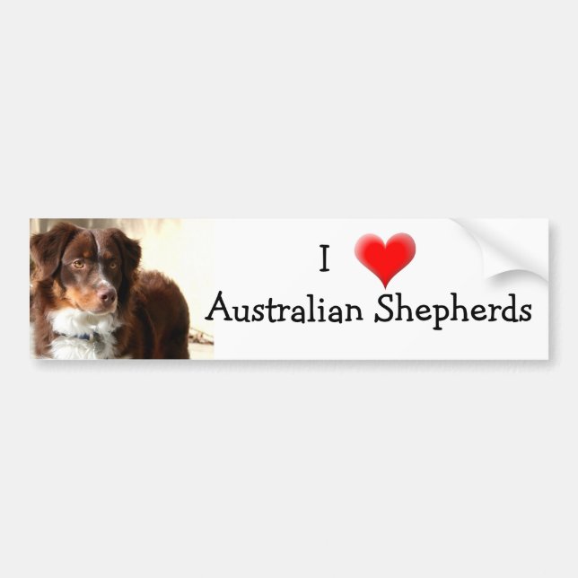 Autocollant De Voiture Adhésif pour pare-chocs australien de berger (Devant)
