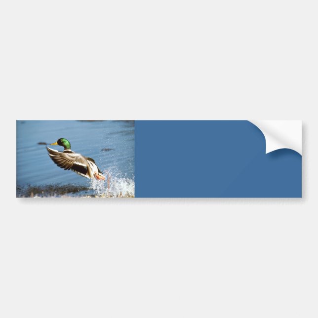 Autocollant De Voiture Adhésif pour pare-chocs/canard de Mallard (Devant)