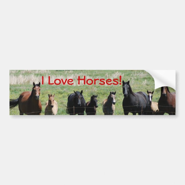 Autocollant De Voiture Adhésif pour pare-chocs - chevaux d'amour d'I ! (Devant)