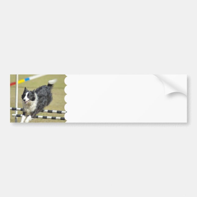Autocollant De Voiture Adhésif pour pare-chocs d'agilité de border collie (Devant)