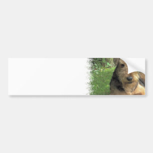 Autocollant De Voiture Adhésif pour pare-chocs d'Airedale Terrier