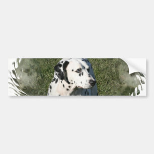 Autocollant De Voiture Adhésif pour pare-chocs dalmatien