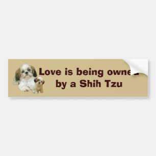 Autocollant De Voiture Adhésif pour pare-chocs d'amis de Shih Tzu