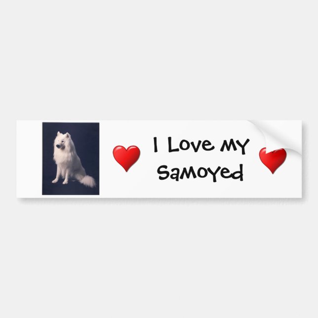 Autocollant De Voiture Adhésif pour pare-chocs d'amour de Samoyed (Devant)