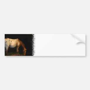 Autocollant De Voiture Adhésif pour pare-chocs d'Appaloosa
