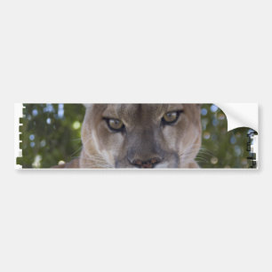 Autocollant De Voiture Adhésif pour pare-chocs d'attaque de puma
