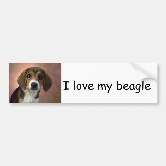 Autocollant De Voiture Adhésif pour pare-chocs de beagle (Devant)