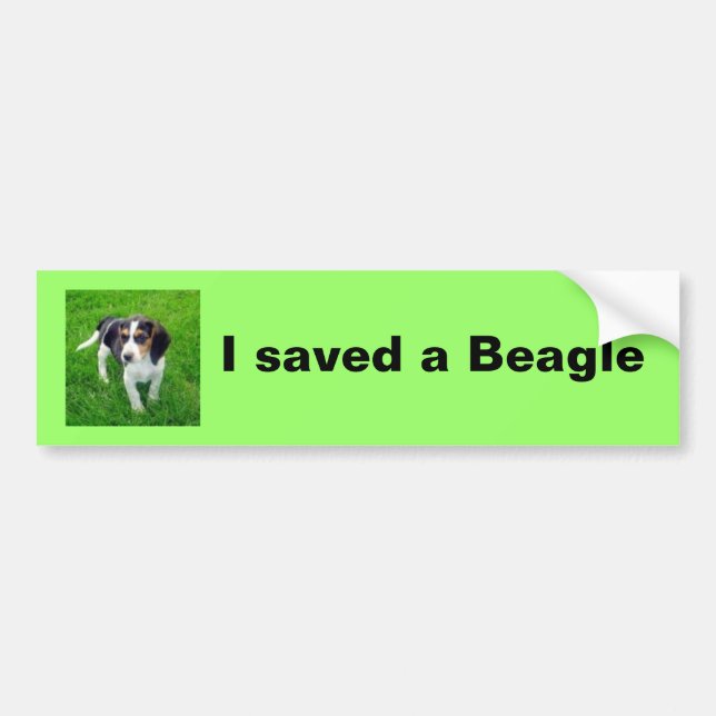 Autocollant De Voiture Adhésif pour pare-chocs de beagle (Devant)