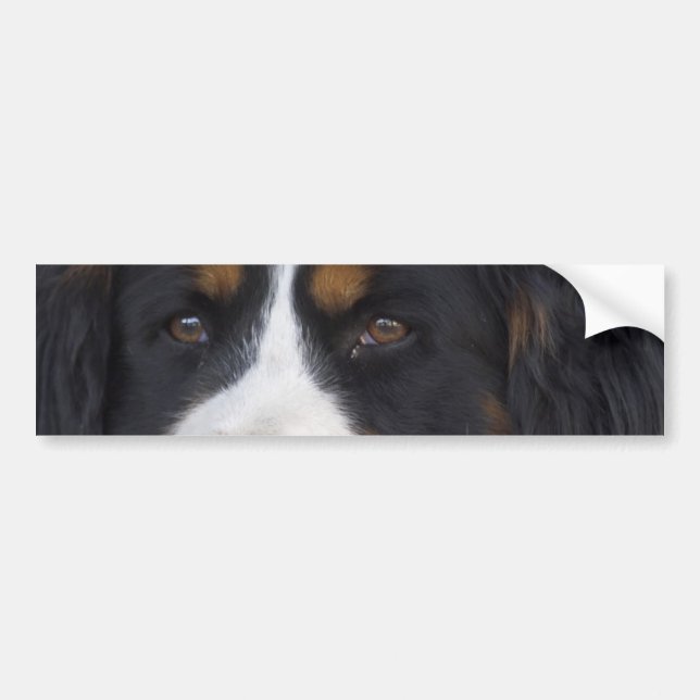 Autocollant De Voiture Adhésif pour pare-chocs de Berner Sennenhund (Devant)