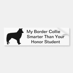 Autocollant De Voiture Adhésif pour pare-chocs de border collie