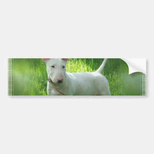 Autocollant De Voiture Adhésif pour pare-chocs de bull-terrier