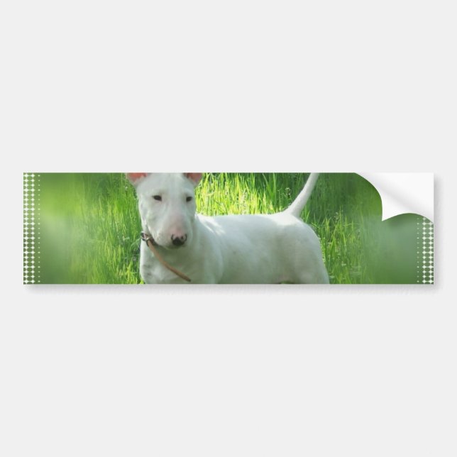 Autocollant De Voiture Adhésif pour pare-chocs de bull-terrier (Devant)