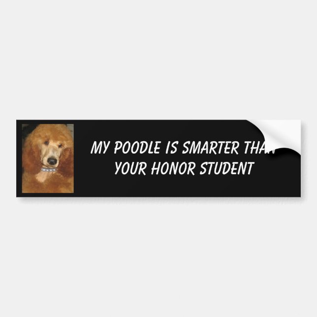 Autocollant De Voiture Adhésif pour pare-chocs de caniche (Devant)