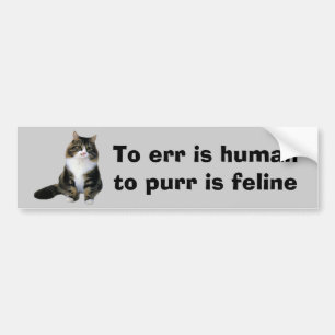 Autocollant De Voiture Adhésif pour pare-chocs de chat