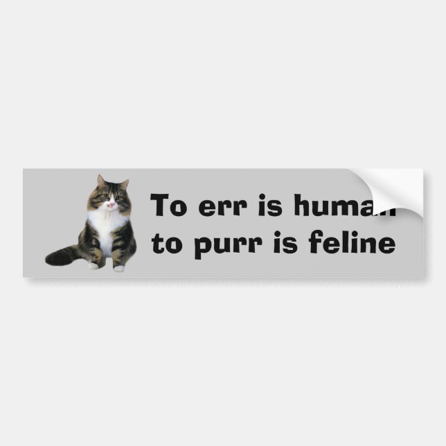 Autocollant De Voiture Adhésif pour pare-chocs de chat (Devant)