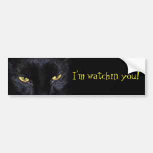 Autocollant De Voiture Adhésif pour pare-chocs de chat noir