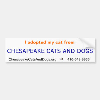 Autocollant De Voiture Adhésif pour pare-chocs de chats et de chiens de