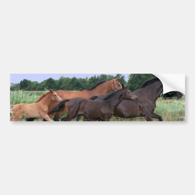Autocollant De Voiture Adhésif pour pare-chocs de chevaux sauvages (Devant)