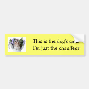 Autocollant De Voiture Adhésif pour pare-chocs de chien