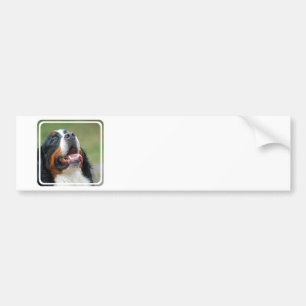 Autocollant De Voiture Adhésif pour pare-chocs de chien de Berner