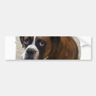 Autocollant De Voiture Adhésif pour pare-chocs de chien de boxeur