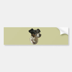 Autocollant De Voiture Adhésif pour pare-chocs de chien de Jack Russell