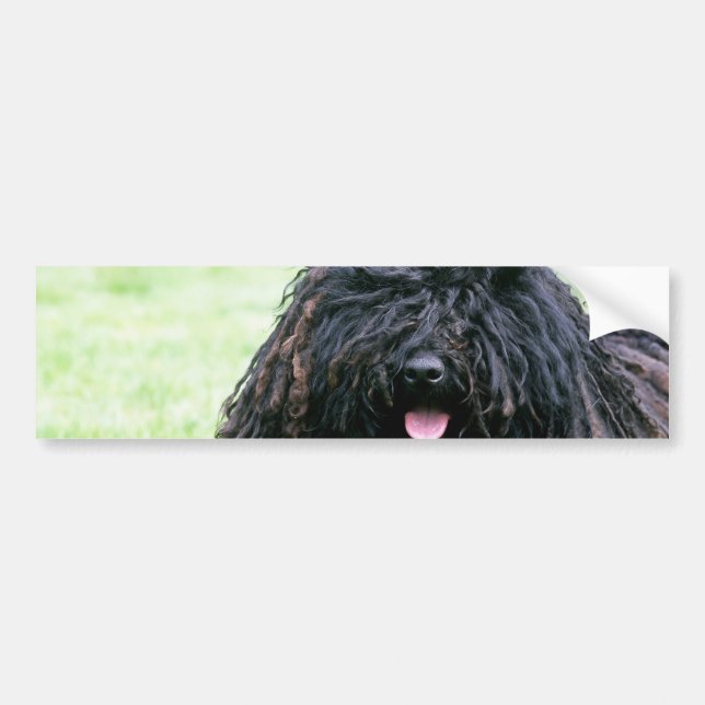 Autocollant De Voiture Adhésif pour pare-chocs de chien de Puli (Devant)