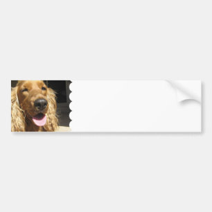 Autocollant De Voiture Adhésif pour pare-chocs de chien d'épagneul