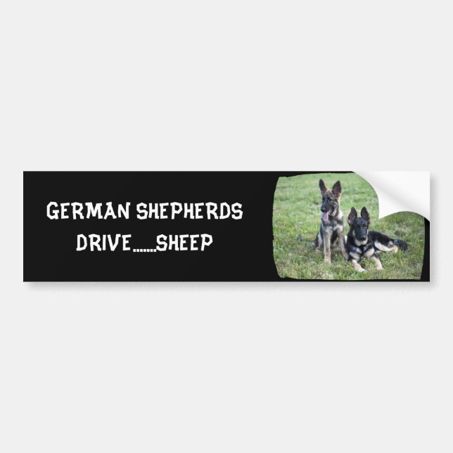 AUTOCOLLANT DE VOITURE ADHÉSIF POUR PARE-CHOCS DE CHIOT DE BERGER (Devant)