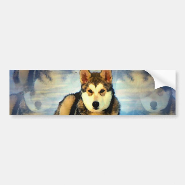 Autocollant De Voiture Adhésif pour pare-chocs de chiots de Malamute (Devant)