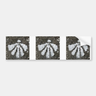 Autocollant De Voiture Adhésif pour pare-chocs de coquilles de feston