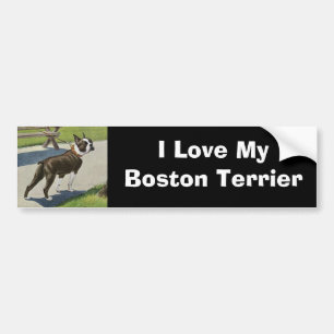 Autocollant De Voiture Adhésif pour pare-chocs de cru de Boston Terrier