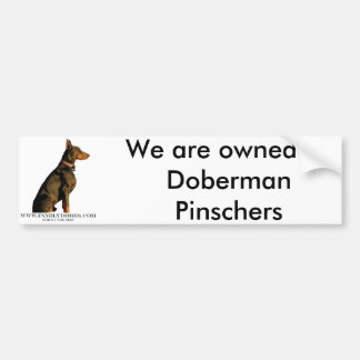 Autocollant De Voiture adhésif pour pare-chocs de dobermann