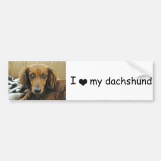Autocollant De Voiture Adhésif pour pare-chocs de Doxie