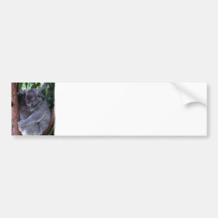 Autocollant De Voiture Adhésif pour pare-chocs de famille de koala