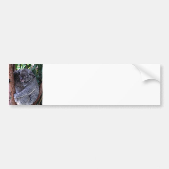 Autocollant De Voiture Adhésif pour pare-chocs de famille de koala (Devant)