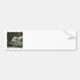 Autocollant De Voiture Adhésif pour pare-chocs de hibou de grange