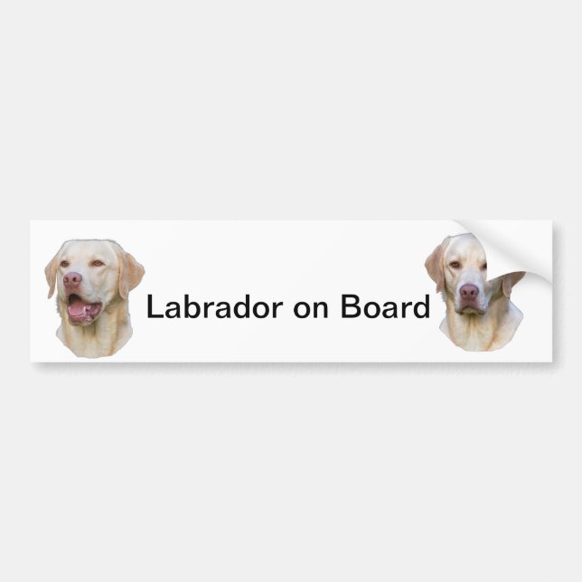 Autocollant De Voiture adhésif pour pare-chocs de Labrador (Devant)