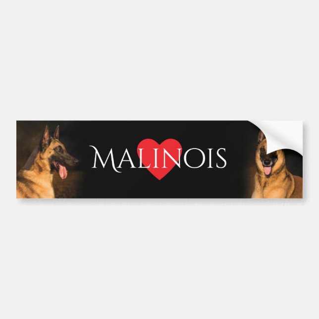 Autocollant De Voiture Adhésif pour pare-chocs de Malinois (Devant)